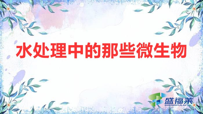 水處理中的那些微生物（污水處理中的微生物分類(lèi)）