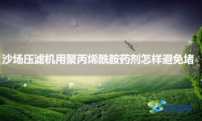 沙場(chǎng)壓濾機(jī)用聚丙烯酰胺藥劑怎樣避免堵?（聚丙烯酰胺避免堵塞的方法）