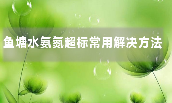 魚塘氨氮超標最簡單的處理方法(魚塘水氨氮超標常用解決方法)