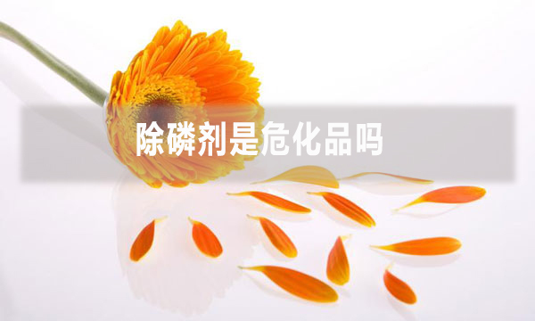 除磷劑是?；穯?></div>
            </a></li>
          
        </ul>
        <div   id=