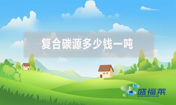 復(fù)合碳源多少錢一噸？