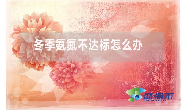 冬季氨氮不達(dá)標(biāo)怎么辦？