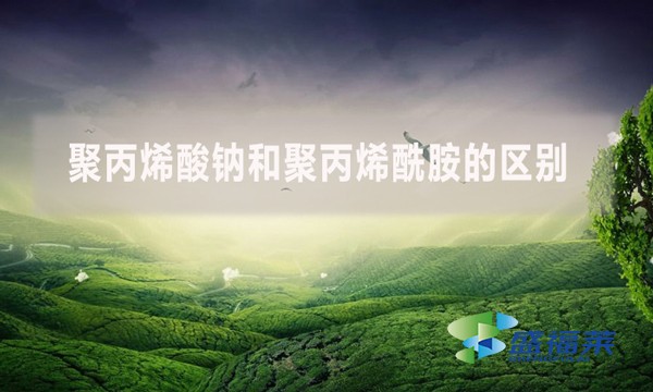 聚丙烯酸鈉和聚丙烯酰胺的區(qū)別？