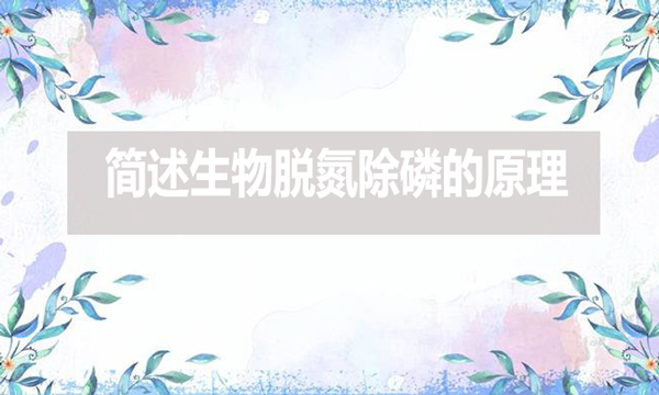 簡(jiǎn)述生物脫氮除磷的原理