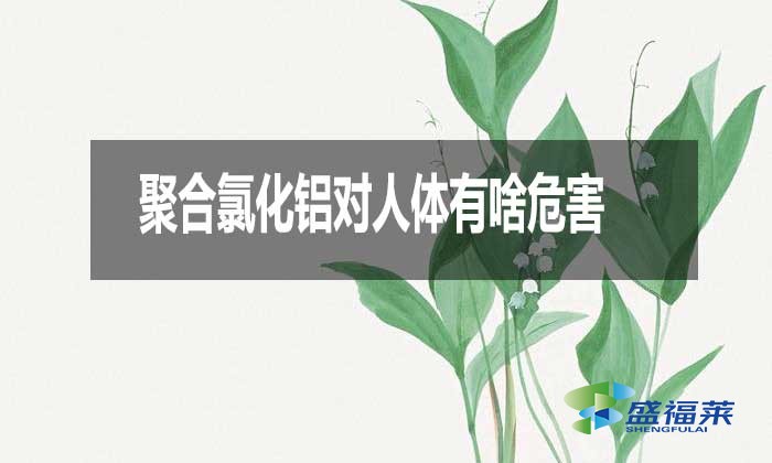 聚合氯化鋁對人體有啥危害？