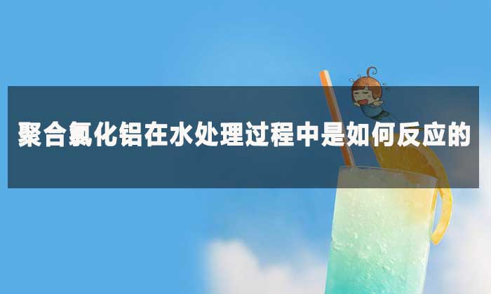 聚合氯化鋁在水處理過程中是如何反應(yīng)的?
